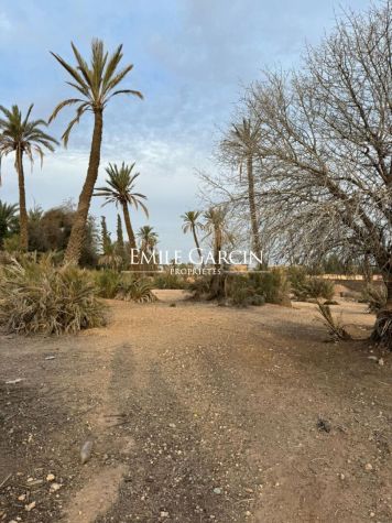 Terrain à vendre au coeur de la palmeraie - Emile Garcin Maroc - Image 2