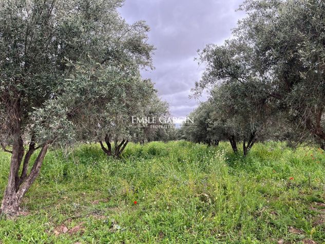 For sale - Marrakech - Construction l... - Emile Garcin Maroc