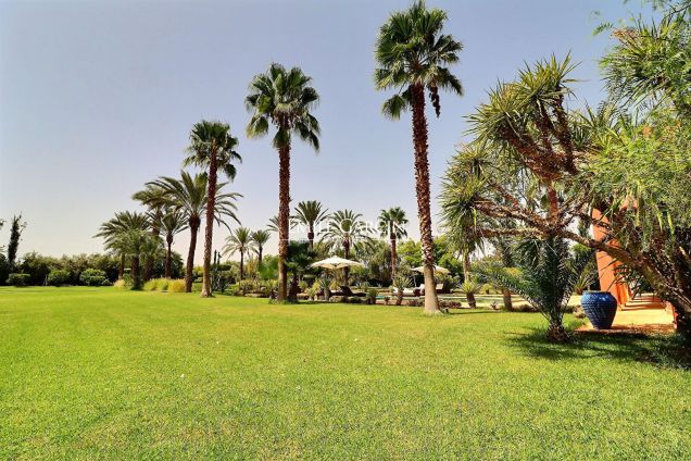 Propriété à vendre  sur la route de Sidi Abdellah Ghiyat - Emile Garcin Maroc - Image 6