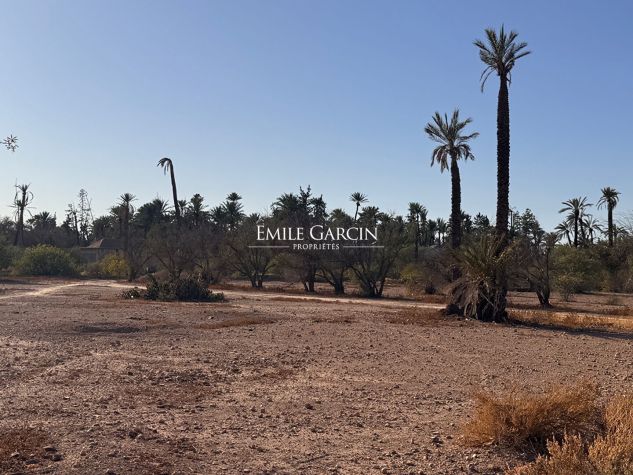 For Sale - Land in the Heart of the Triangle d'or of the Palmeraie- Marrakech - Emile Garcin Maroc - Image 2