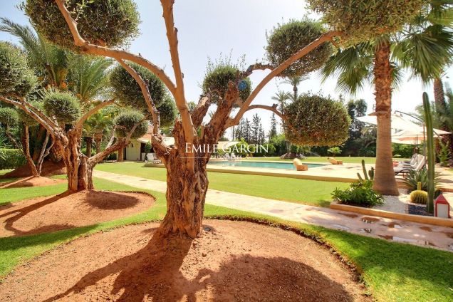 Hôtel de 20 chambres à vendre au coeur de la palmeraie à Marrakech - Emile Garcin Maroc - Image 1