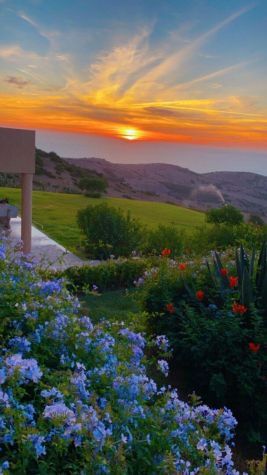 TANGER /ASILAH  GRANDE PROPRIETE  SUR L'OCEAN  SUR UN JARDIN DE 6000 M2 - Emile Garcin Maroc - Image 4
