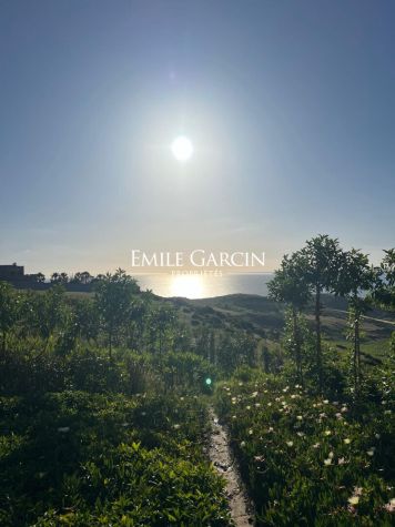 TANGER /ASILAH  GRANDE PROPRIETE  SUR L'OCEAN  SUR UN JARDIN DE 6000 M2 - Emile Garcin Maroc - Image 8