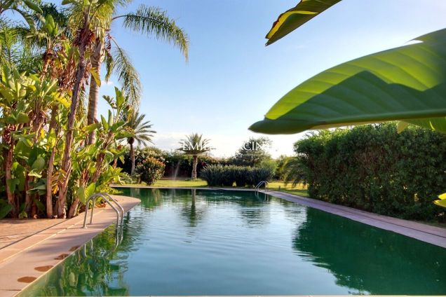 À vendre maison sur la route de Sidi Abdallah Ghiyat à Marrakech - Emile Garcin Maroc - Image 11