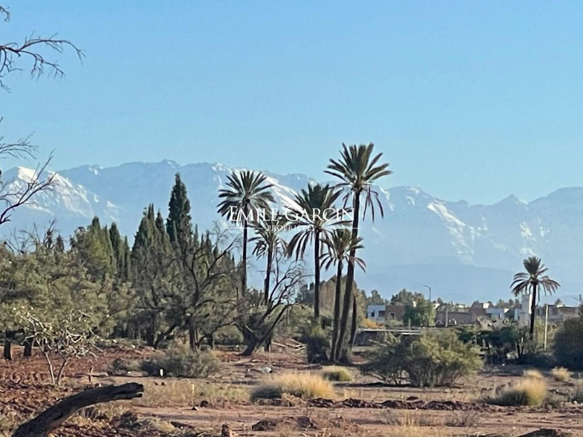 Vente terrain SD1 à Marrakech - Emile Garcin Maroc - Image 1