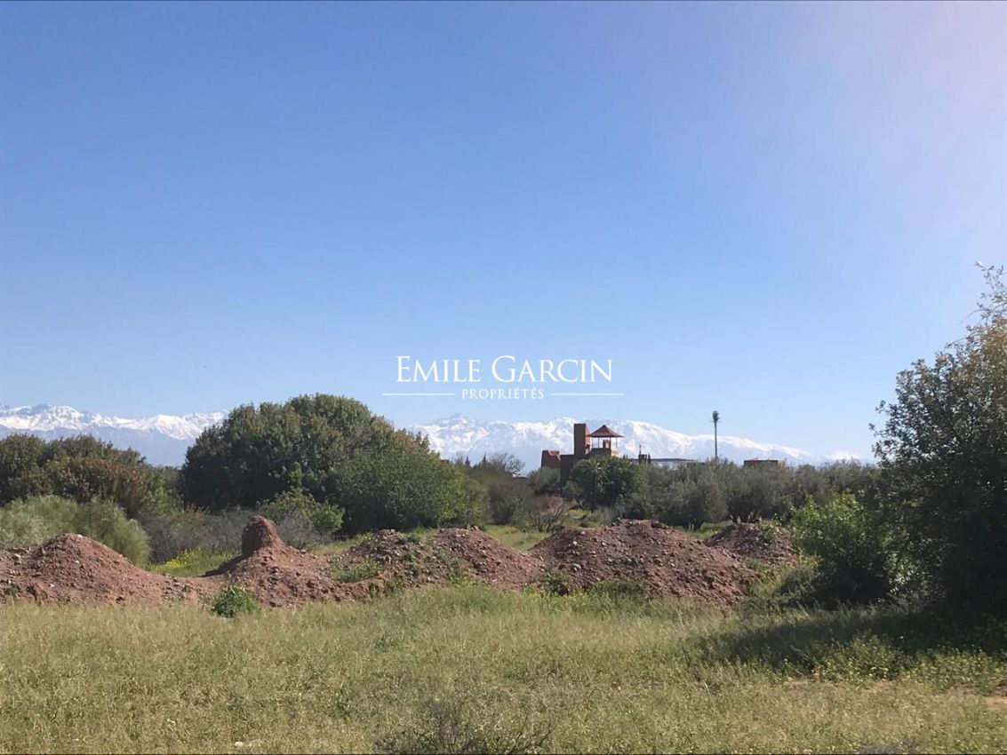 Vente terrain SD1 à Marrakech - Emile Garcin Maroc - Image 2