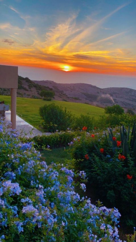 TANGER /ASILAH  GRANDE PROPRIETE  SUR L'OCEAN  SUR UN JARDIN DE 6000 M2 - Emile Garcin Maroc - Image 4